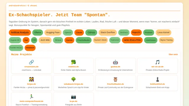 Screenshot der Website andrehinz.de